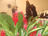 Formatura